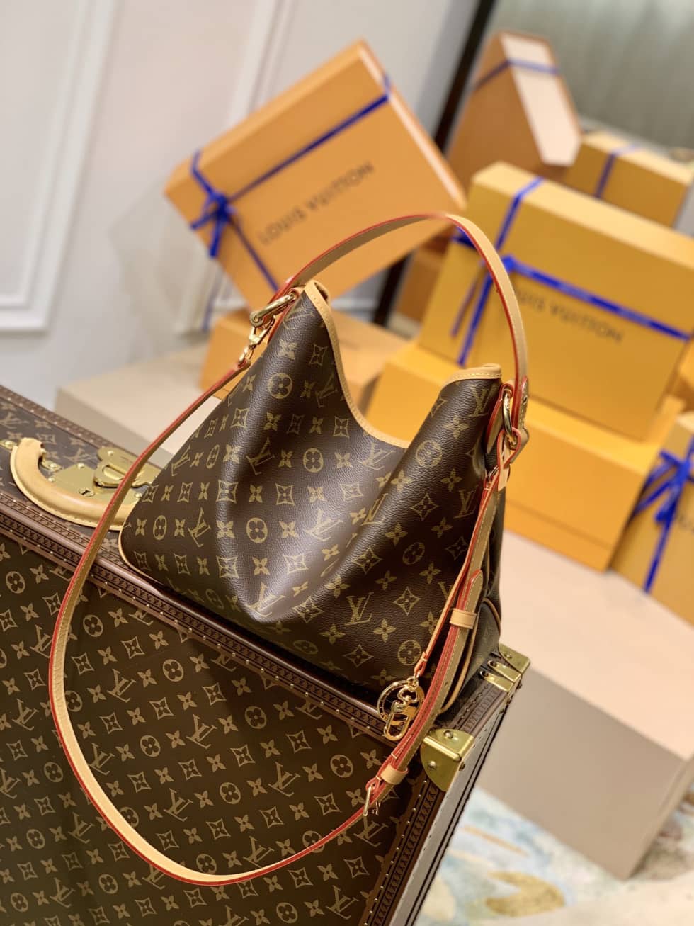 Louis Vuitton Monogram Delightful PM M50155 Replica Shoulder Bag