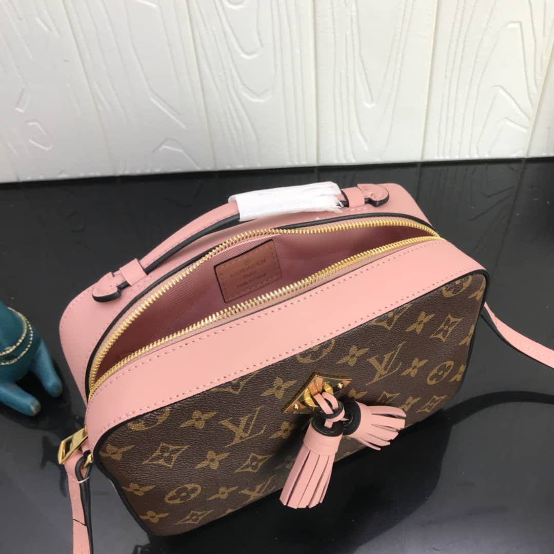 Louis Vuitton Canvas Saintonge Replica Camera Bag Pink M43555