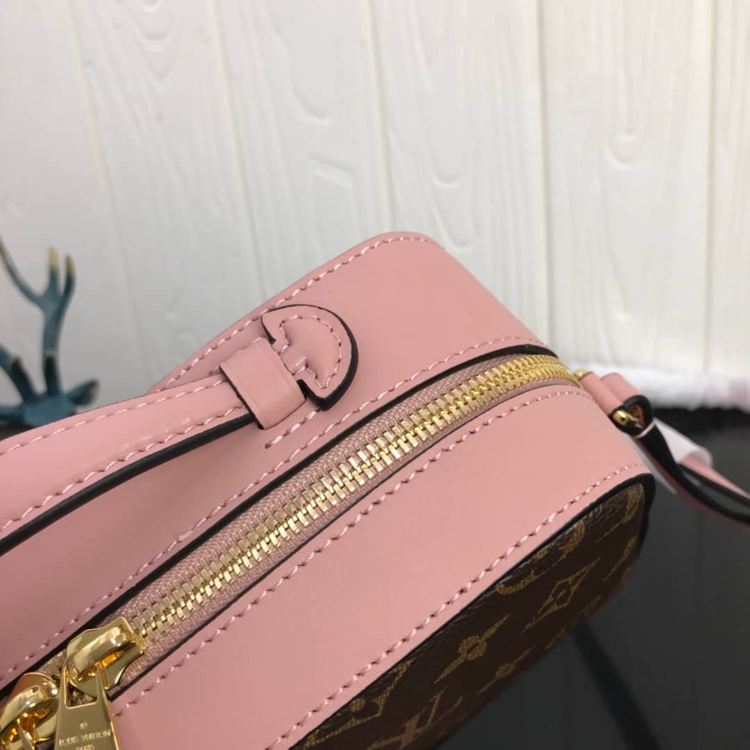 Louis Vuitton Canvas Saintonge Replica Camera Bag Pink M43555