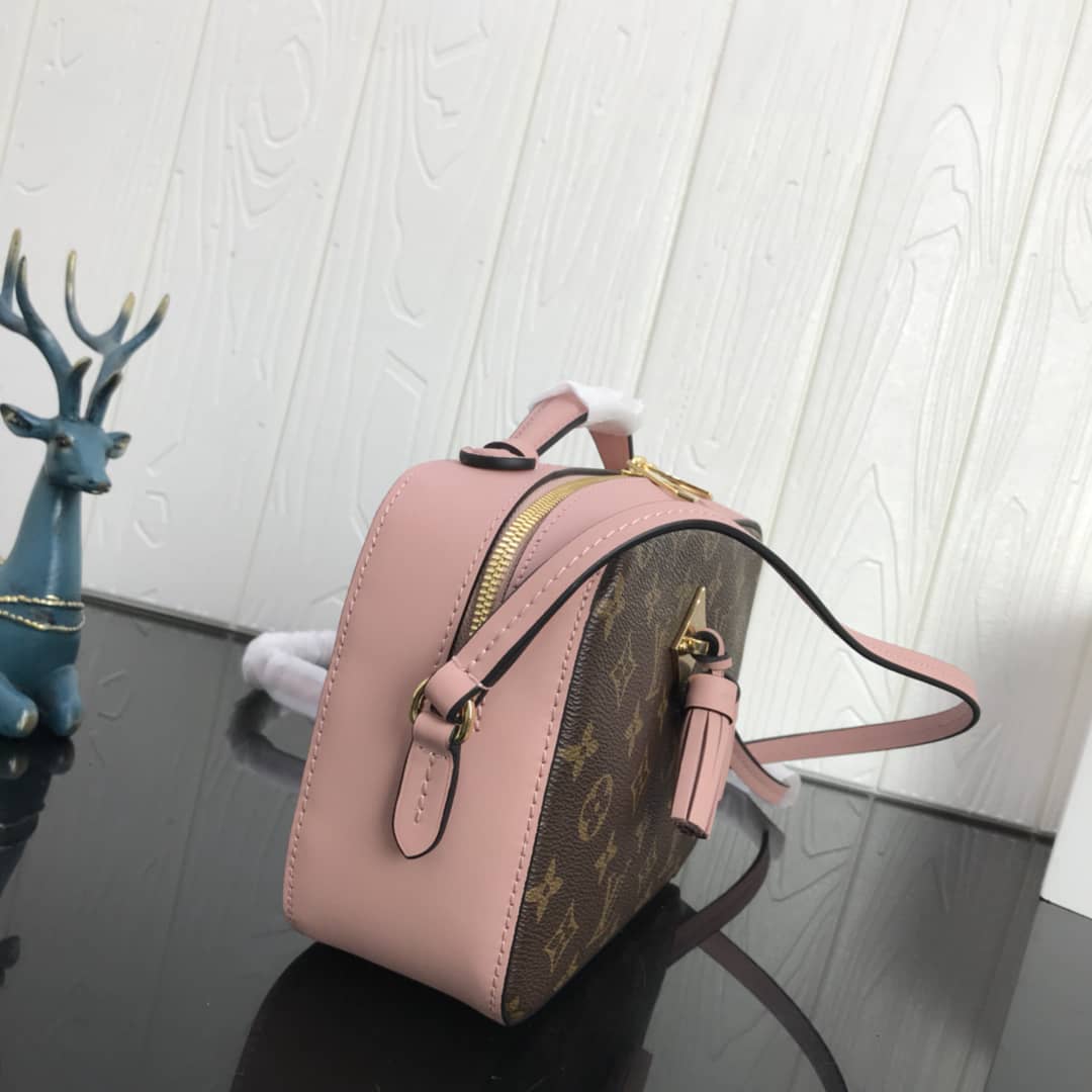 Louis Vuitton Canvas Saintonge Replica Camera Bag Pink M43555