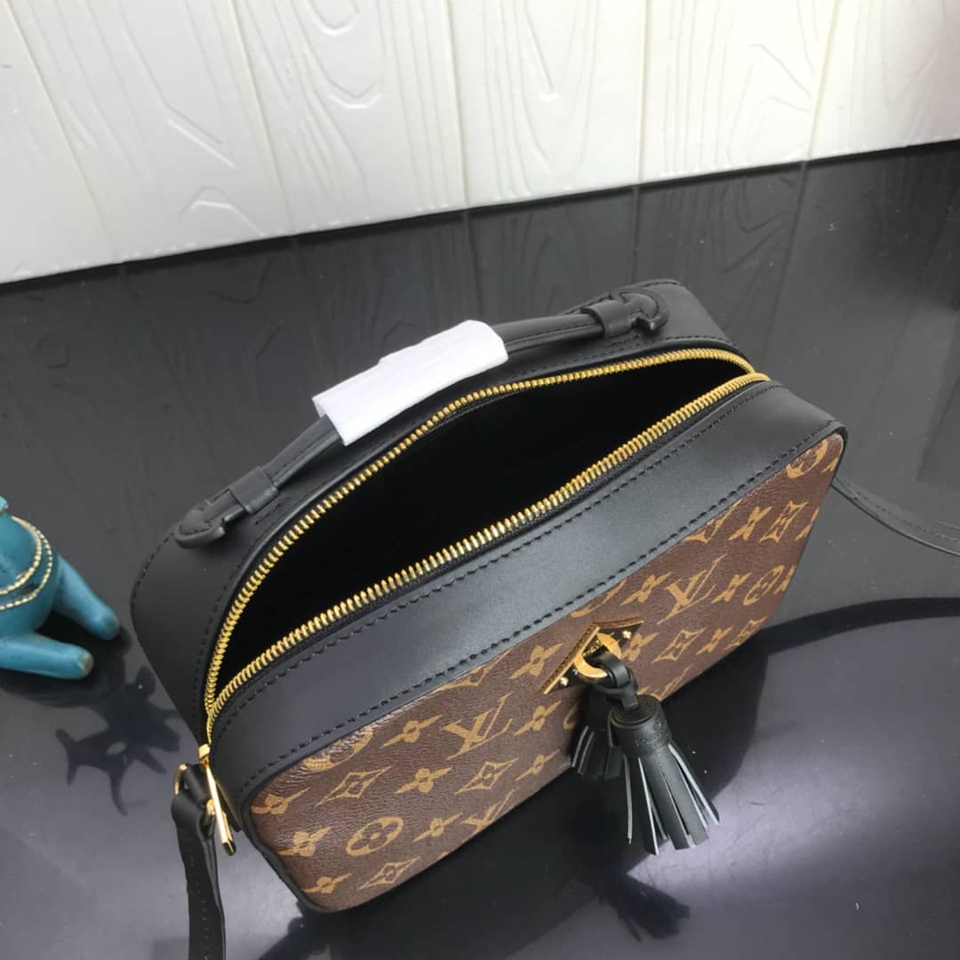 Louis Vuitton Canvas Saintonge Replica Camera Bag Black M43555