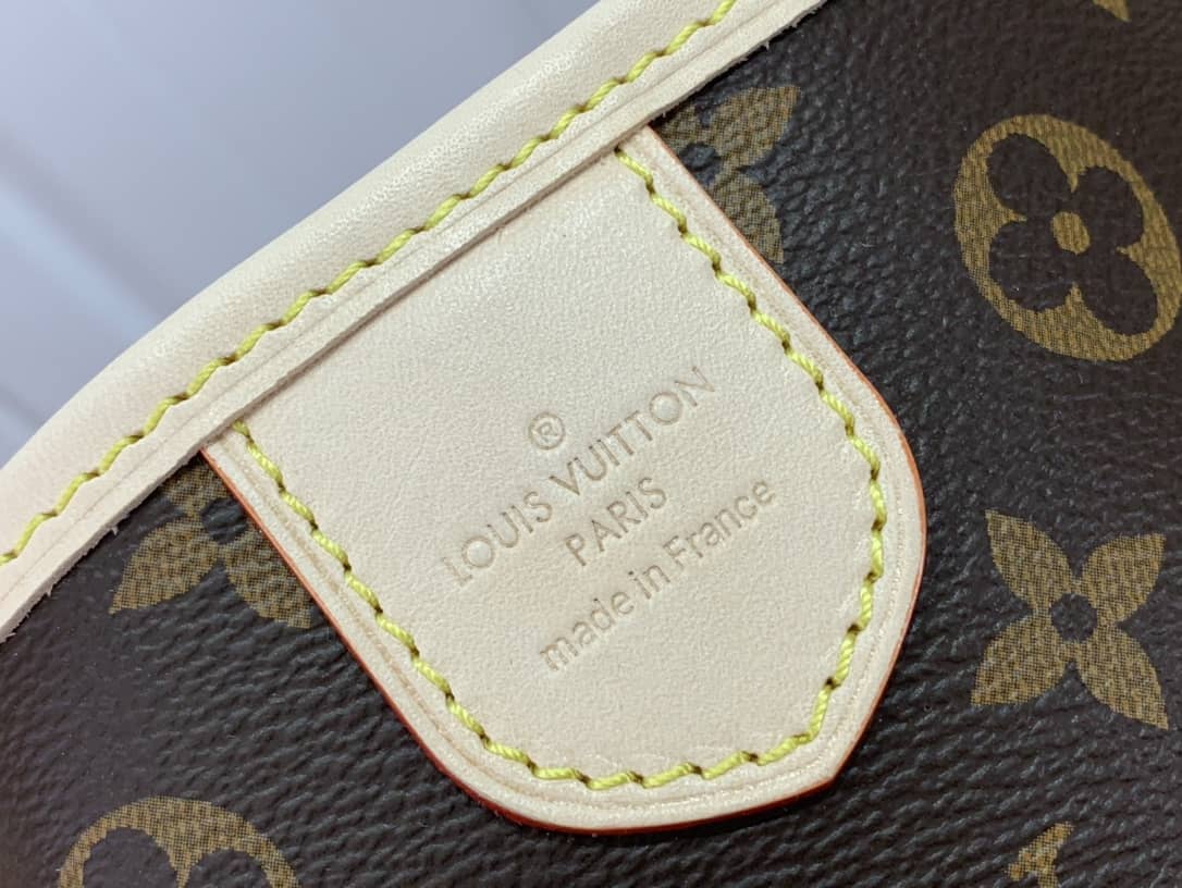 Louis Vuitton Monogram Canvas Delightful PM Replica Shoulder Bag M40352