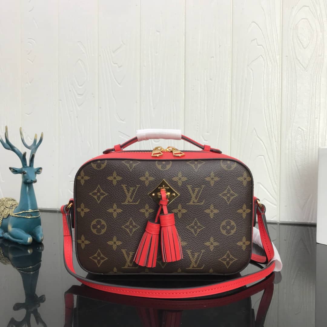 Louis Vuitton Canvas Saintonge Replica Camera Bag Red M43555