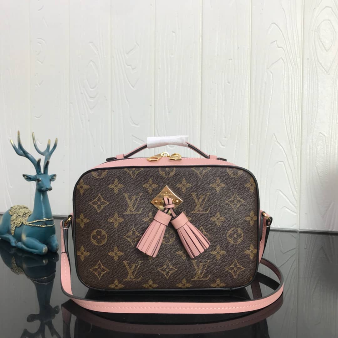 Louis Vuitton Canvas Saintonge Replica Camera Bag Pink M43555