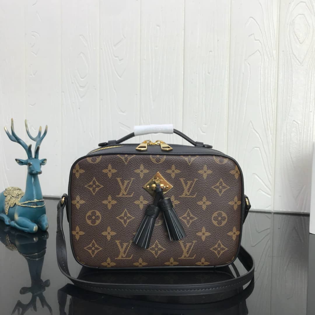 Louis Vuitton Canvas Saintonge Replica Camera Bag Black M43555