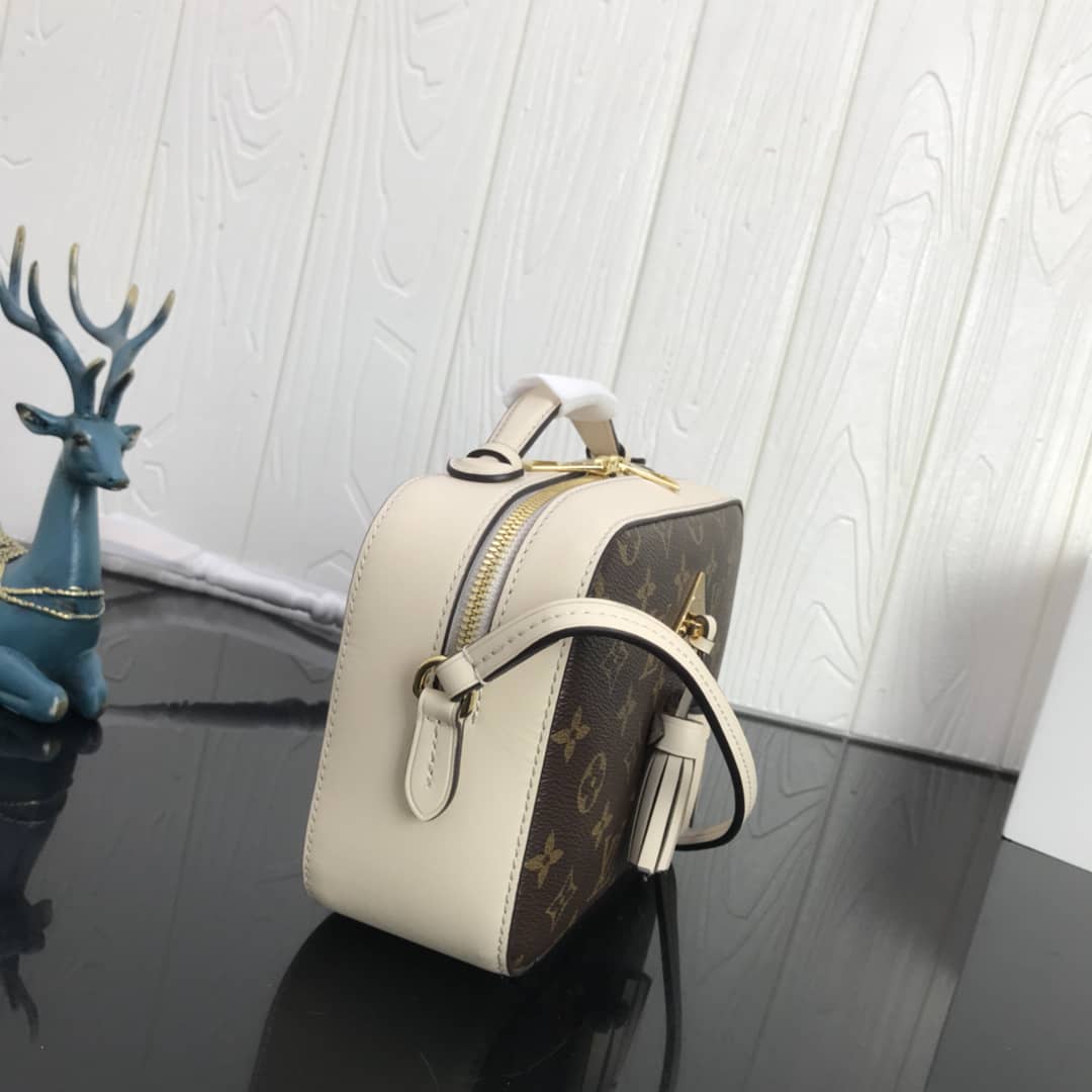 Louis Vuitton Canvas Saintonge Replica Camera Bag White M43555