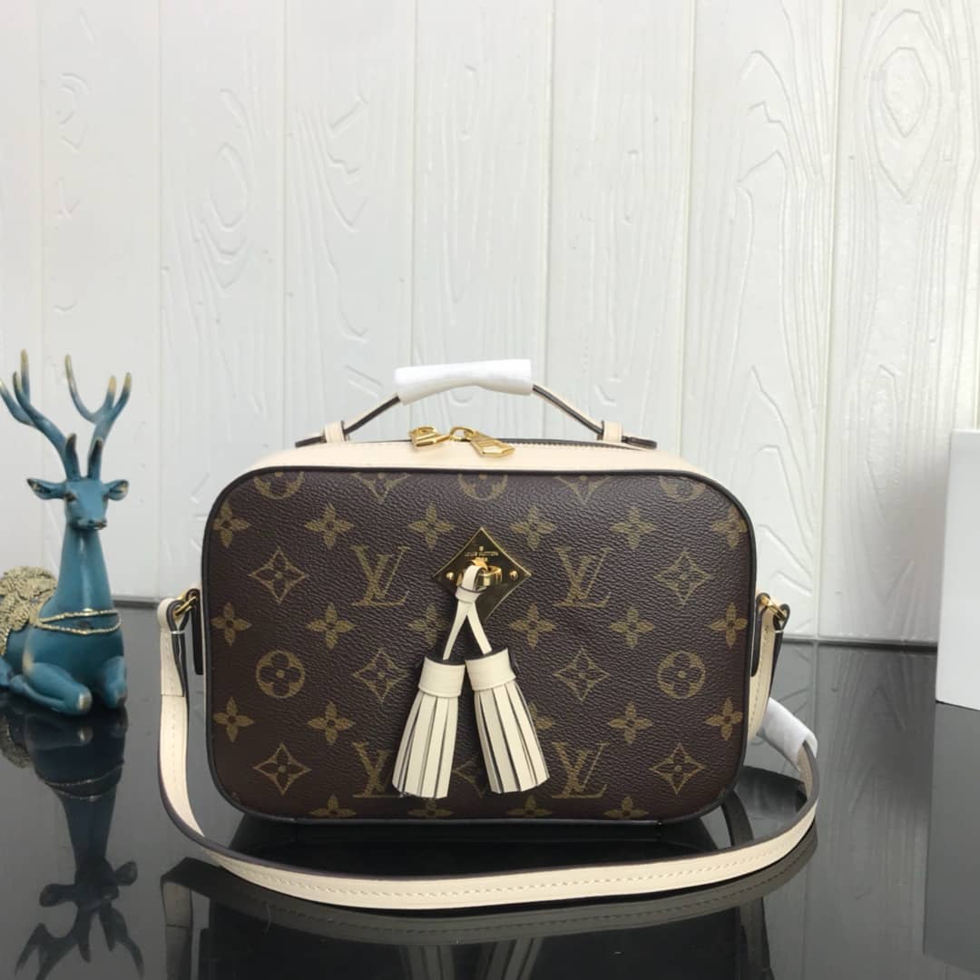 Louis Vuitton Canvas Saintonge Replica Camera Bag White M43555