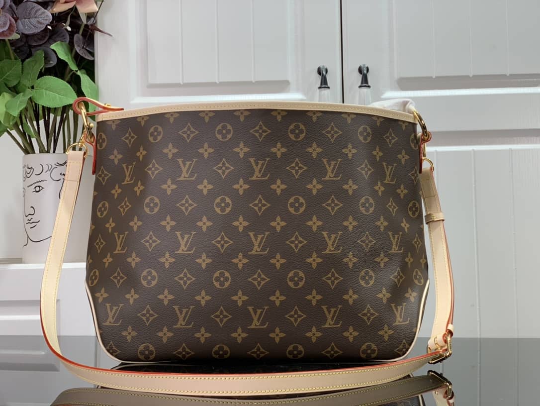 Louis Vuitton Monogram Canvas Delightful PM Replica Shoulder Bag M40352
