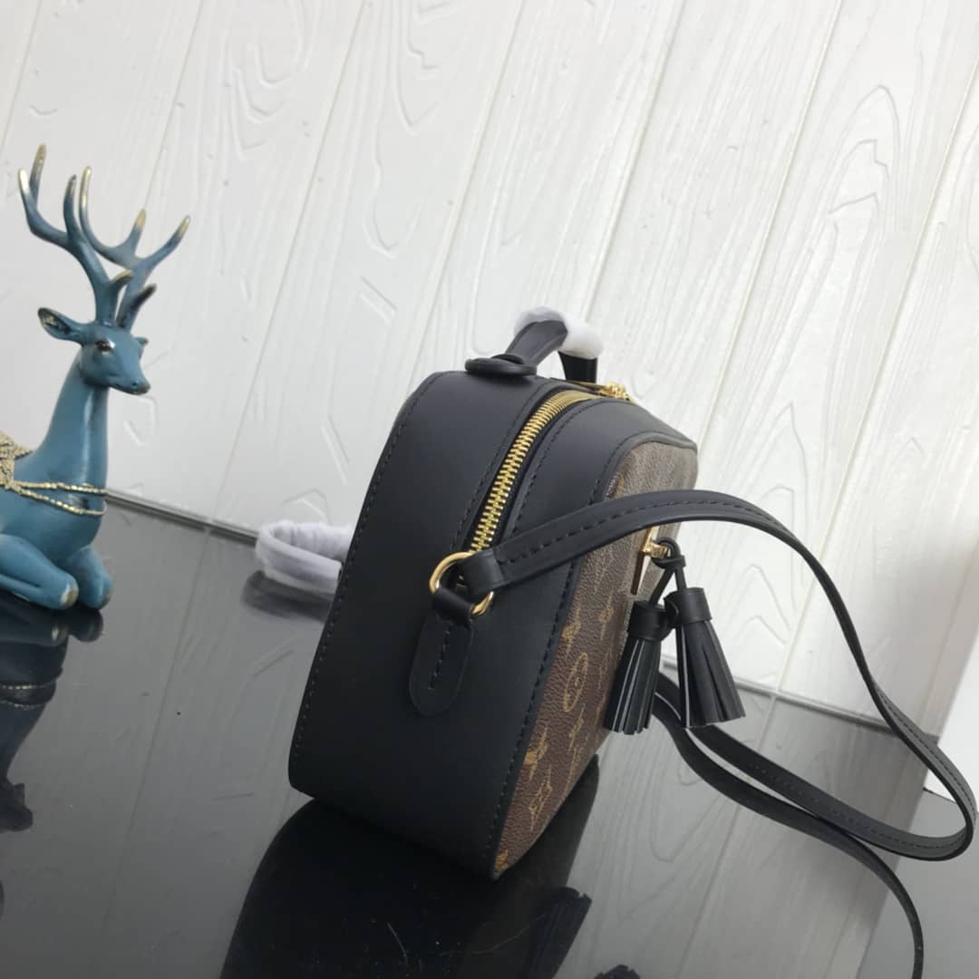 Louis Vuitton Canvas Saintonge Replica Camera Bag Black M43555