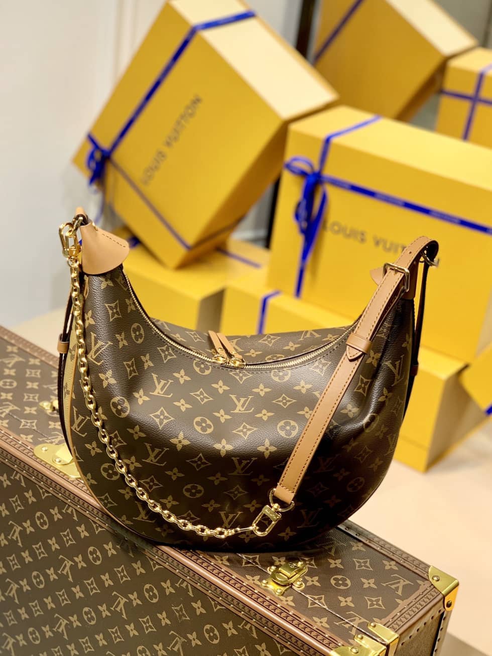 Louis Vuitton Loop Monogram Reverse Coated Canvas M46311 Replica Hobo