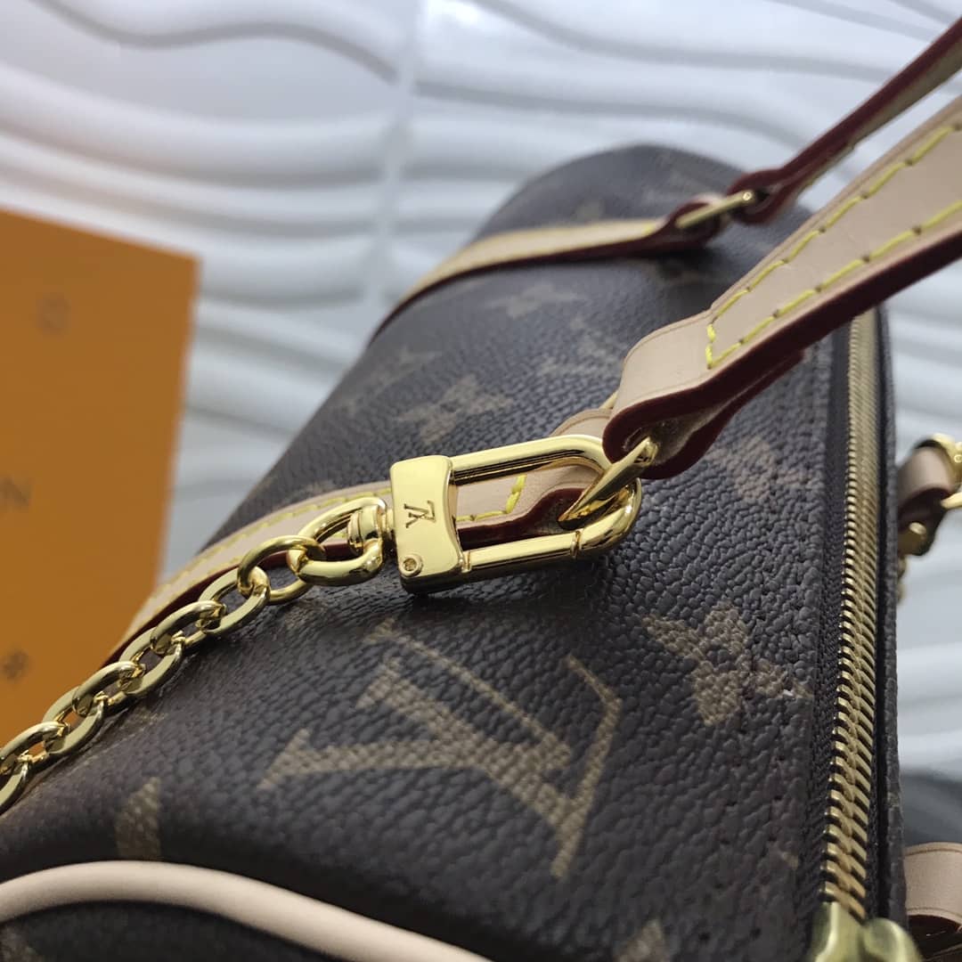 Louis Vuitton Papillon NM Monogram Canvas Replica Handbag