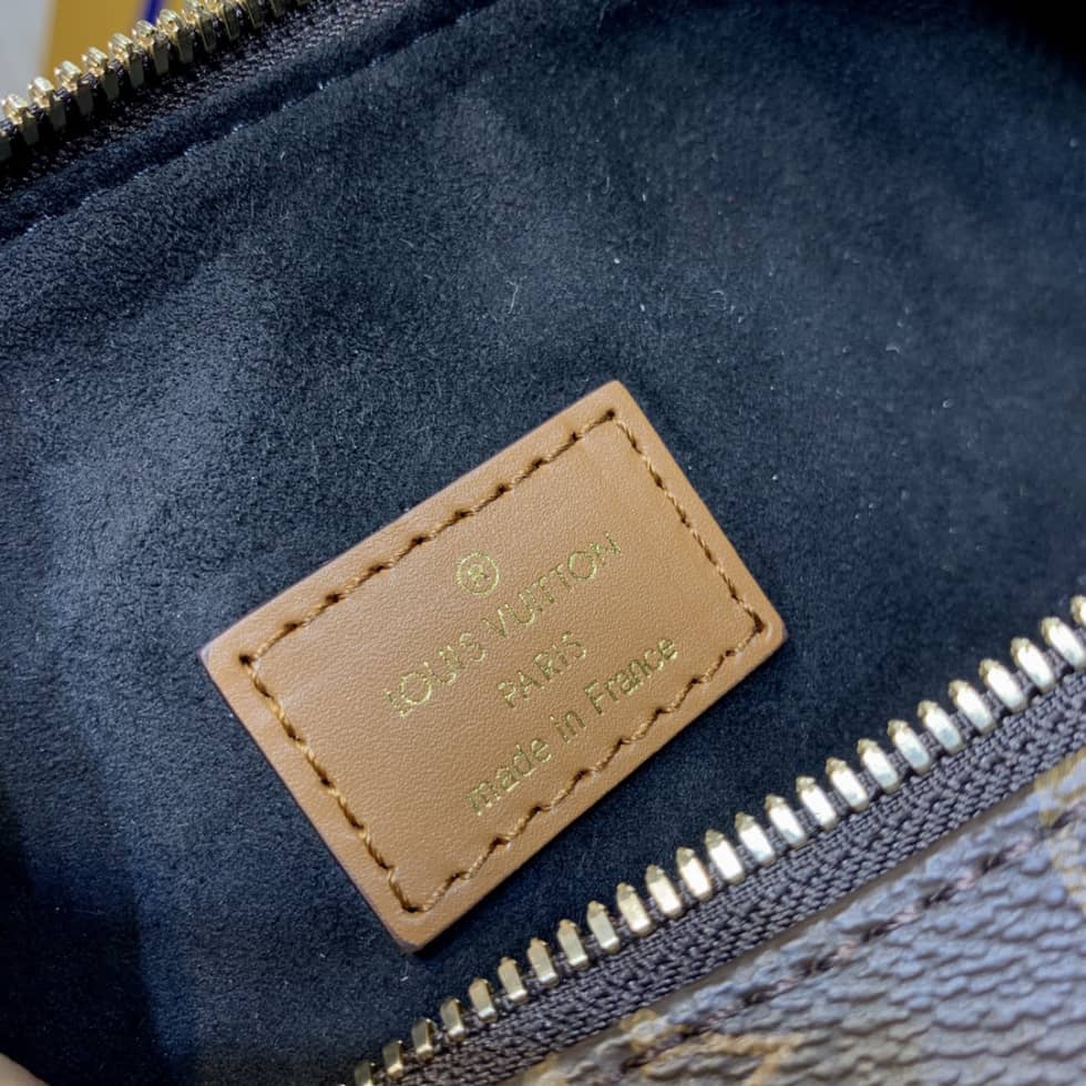 Louis Vuitton Loop Monogram Reverse Coated Canvas M46311 Replica Hobo