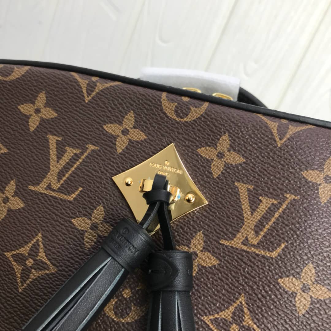 Louis Vuitton Canvas Saintonge Replica Camera Bag Black M43555