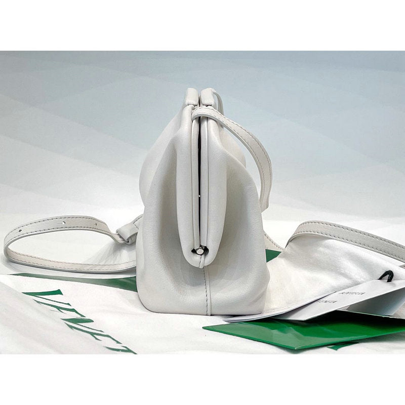 Bottega Veneta Bag Dupe 2108SF0258