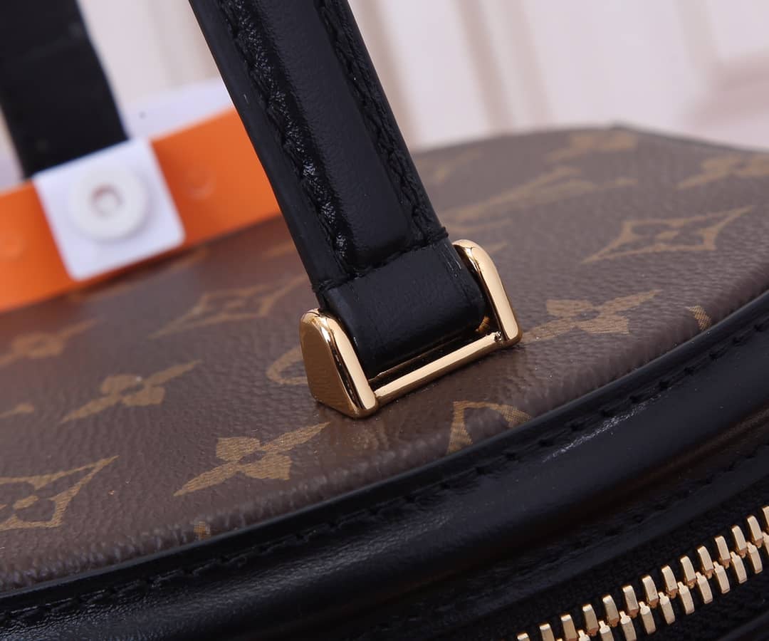 Louis Vuitton Cannes Monogram Reverse Womens Vanity Bag Replica M43986