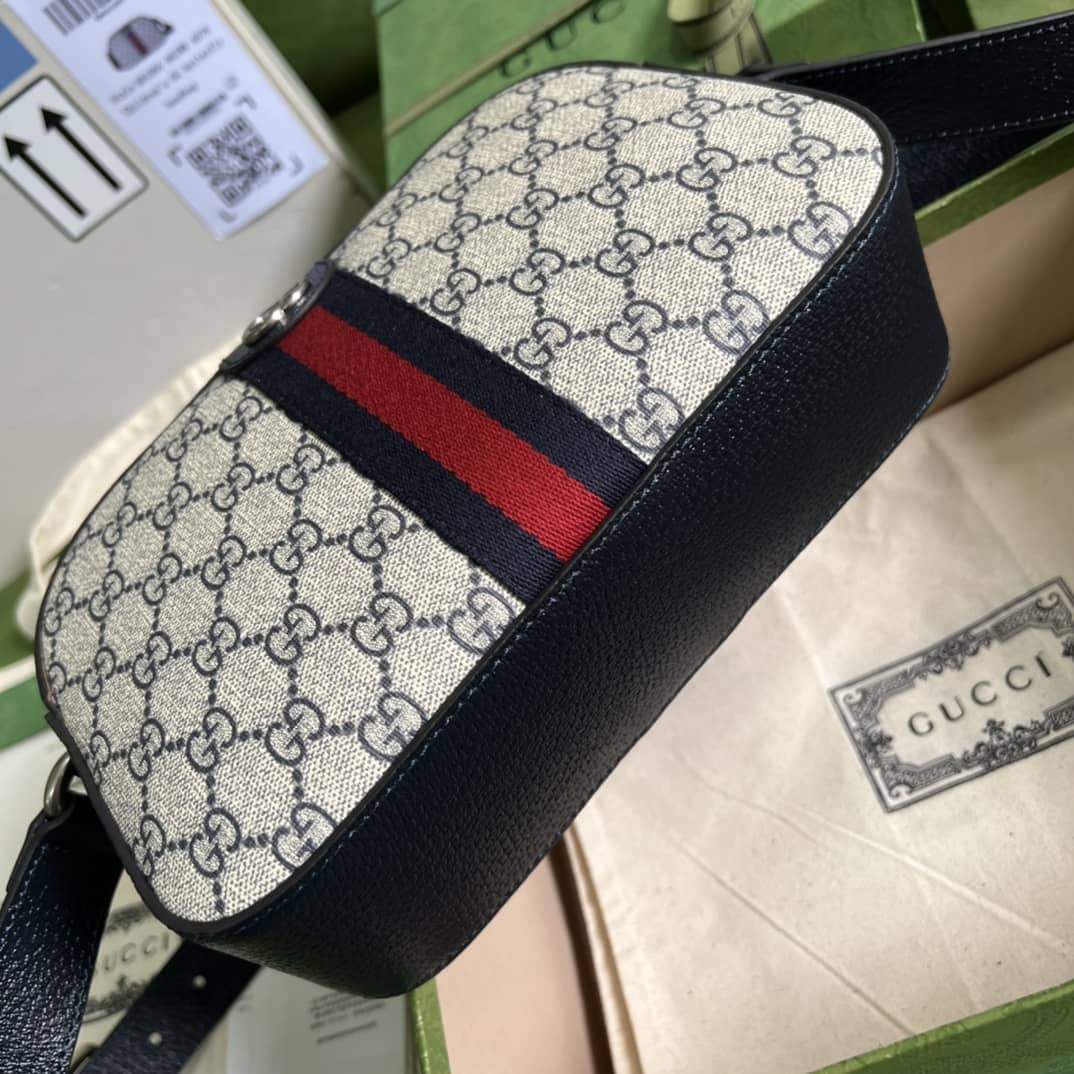 Gucci Purse Dupes Ophidia GG 681064