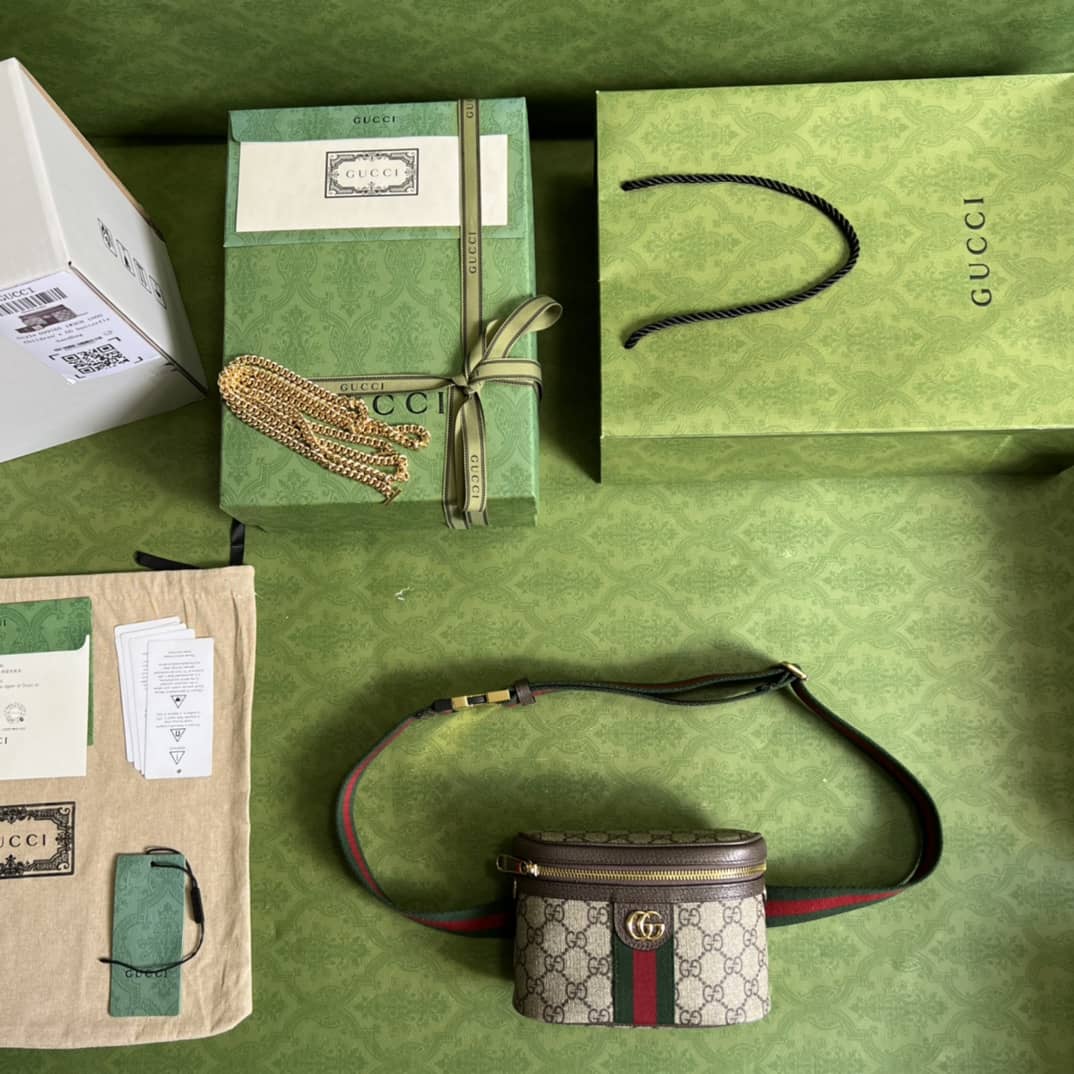 Best Replica Gucci Ophidia With Web 699765 Replica Belt Bag(ColaReps)