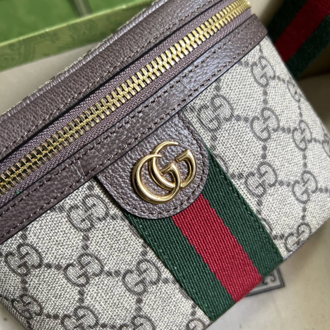 Best Replica Gucci Ophidia With Web 699765 Replica Belt Bag(ColaReps)