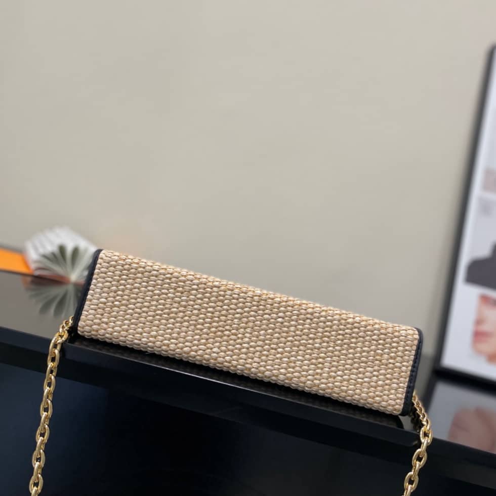 Louis Vuitton Toiletry Pouch on Chain Circle Logo M81366 Replica