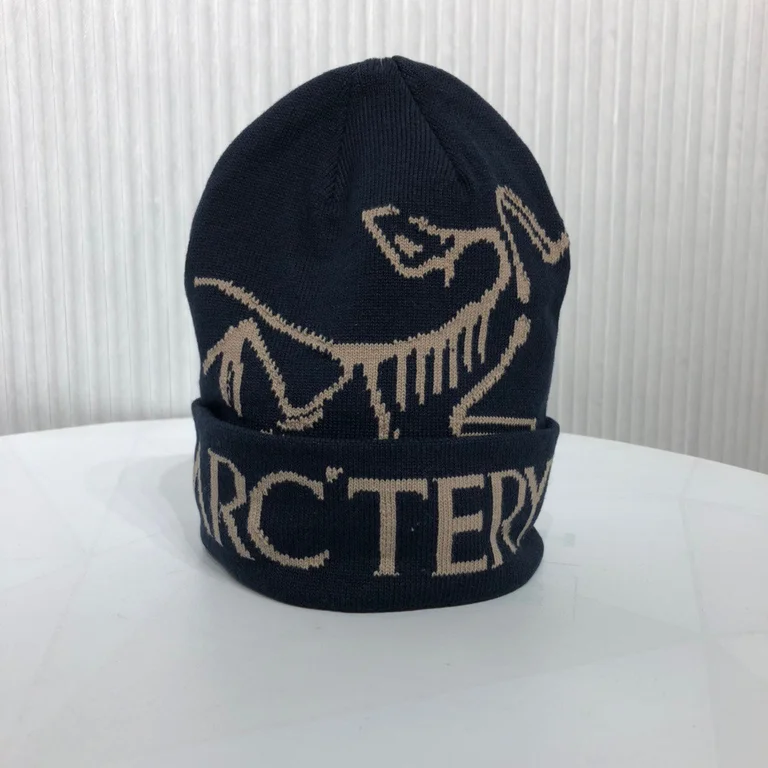 ARCTERYX  hat