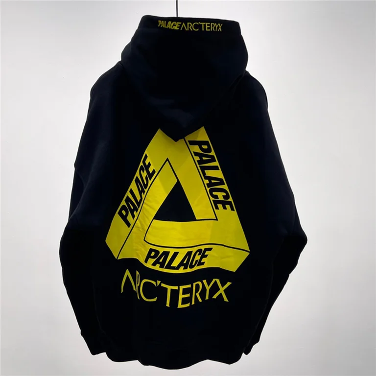 Arcteryx  Down Hoodie