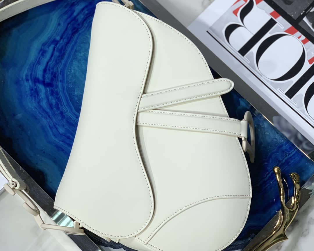 Christian Dior 25CM Replica Saddle Bag
