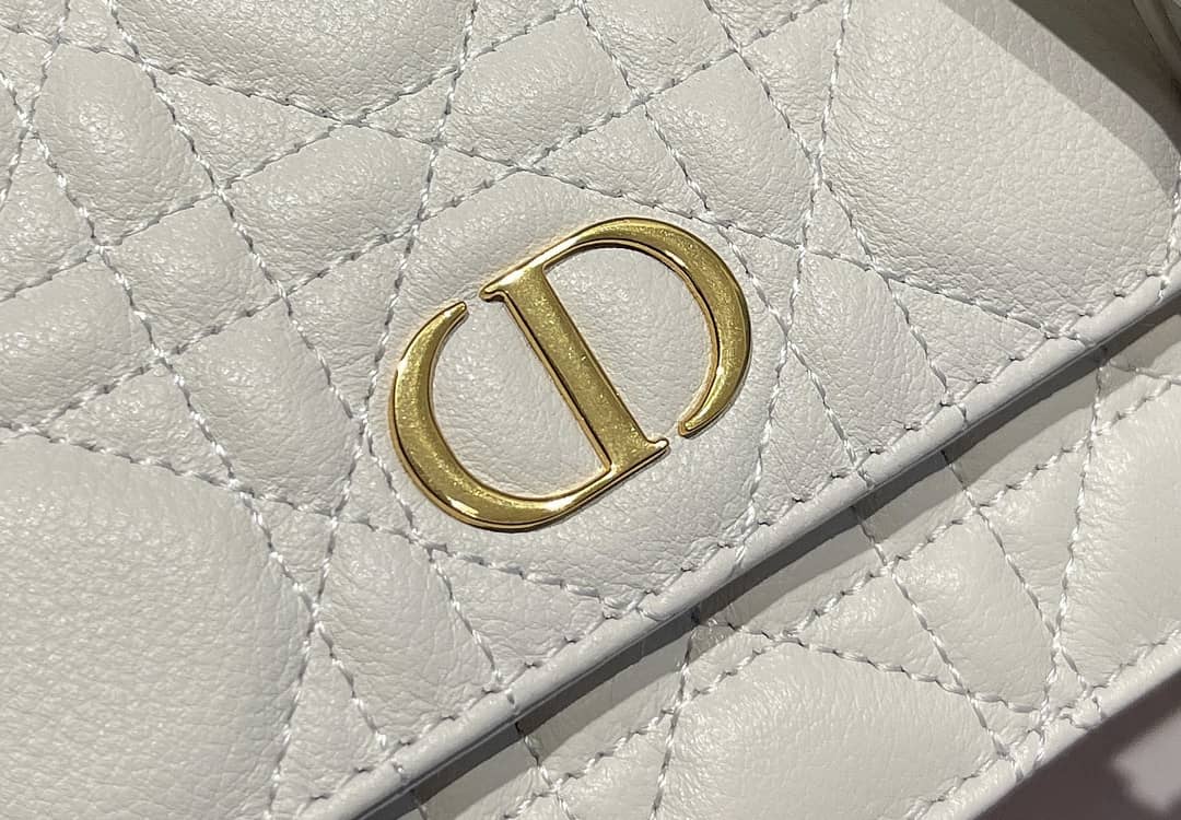 Dior Dupe Caro Chain Belt Pouch