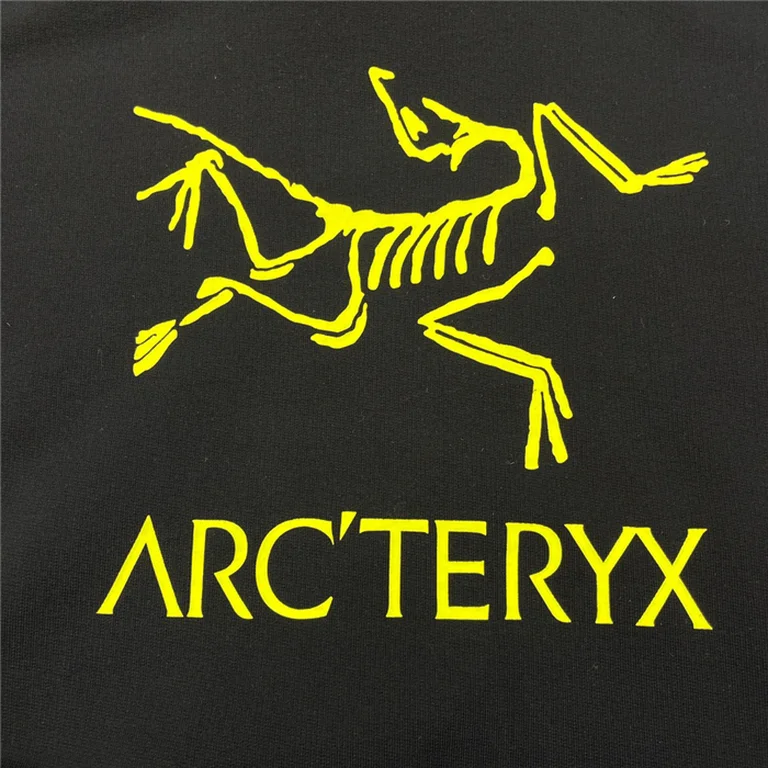 Arcteryx  Down Hoodie