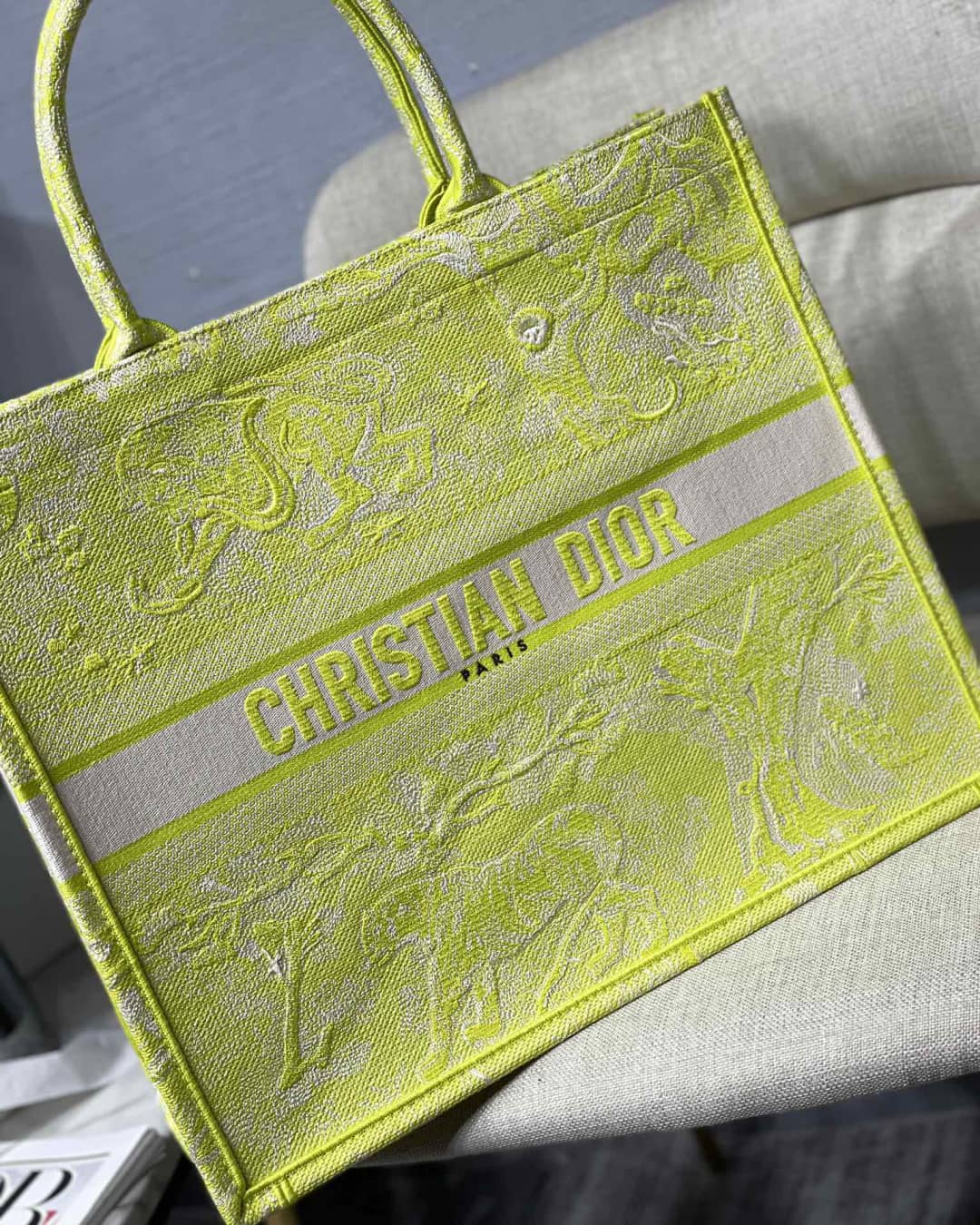Christian Dior CD Book Embroidery Replica Tote