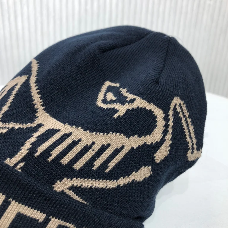 ARCTERYX  hat