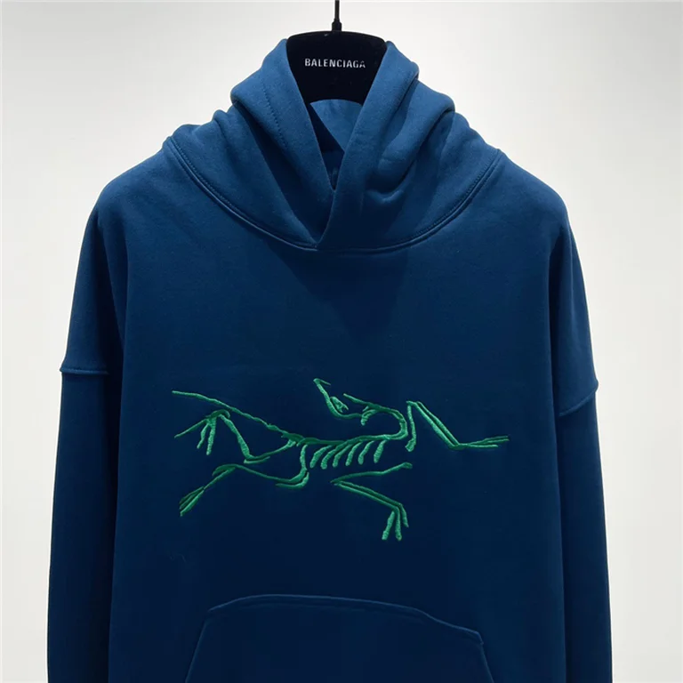 Arcteryx  Down Hoodie