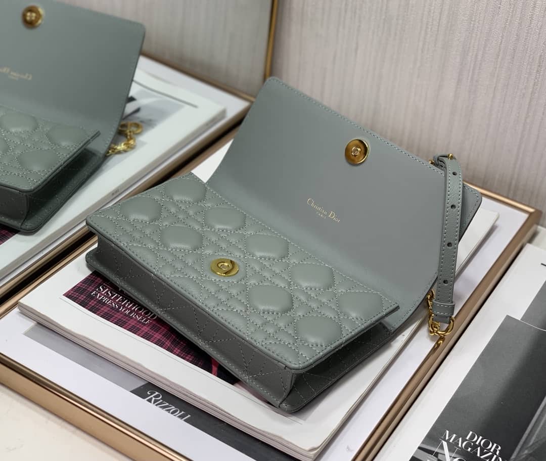 Christian Dior Caro Chain Belt Replica Pouch