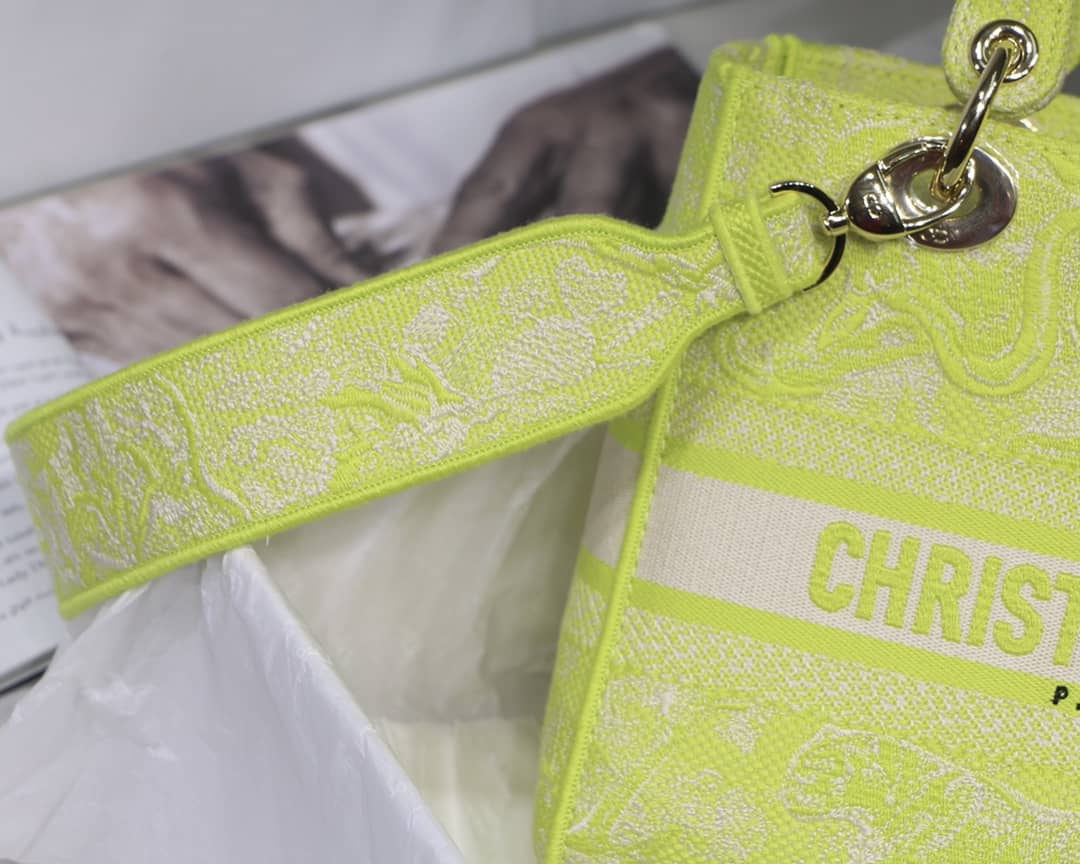 Lady Dior Dupe 24CM Paisley Embroidery Lady D-Lite Bag