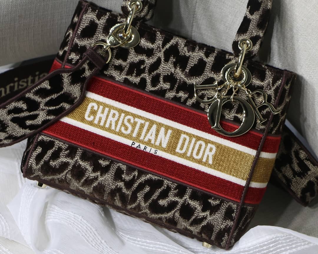 Lady Dior Dupe 24CM Paisley Embroidery Lady D-Lite Bag(ColaReps)