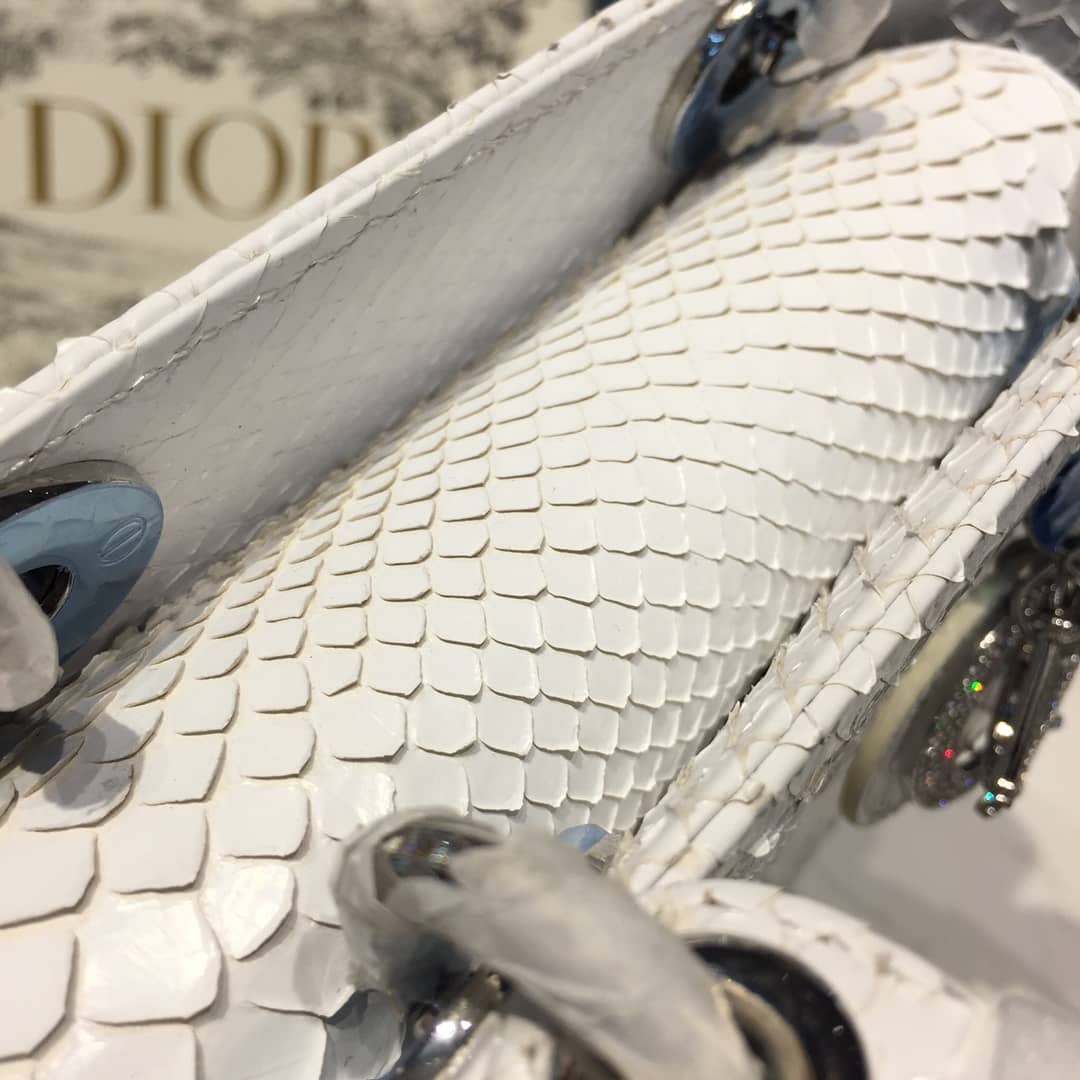 Christian Dior Lady Dior 17CM Replica Bag