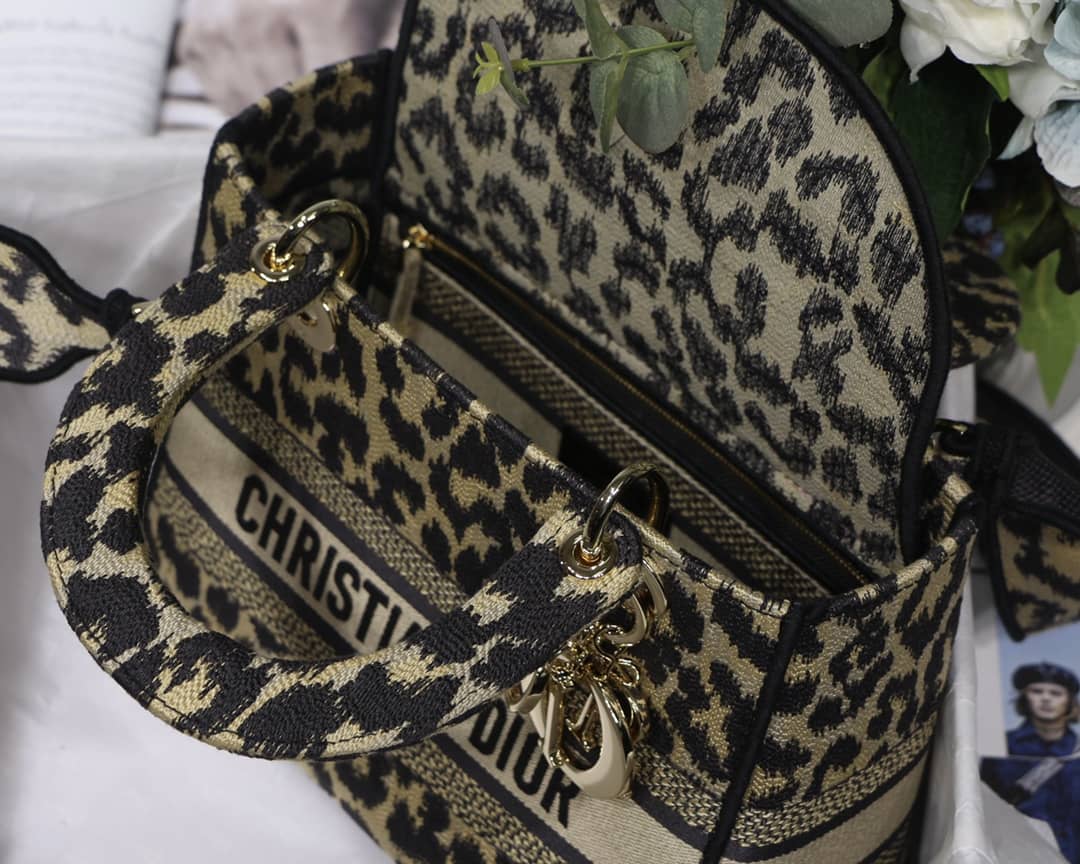 Dior Dupe Bag 24CM Paisley Embroidery Lady D-Lite