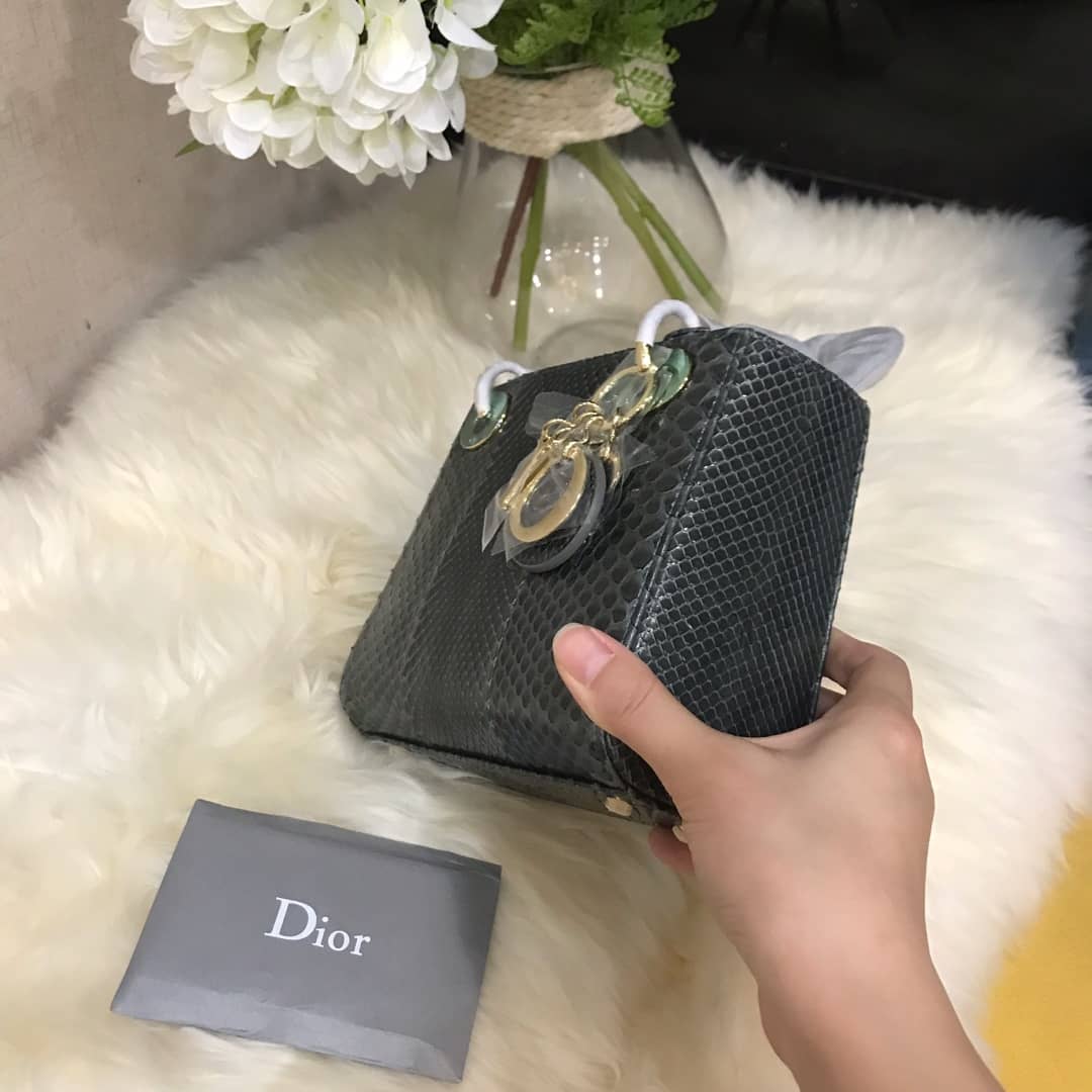 Christian Dior Lady Dior 17CM Replica Bag