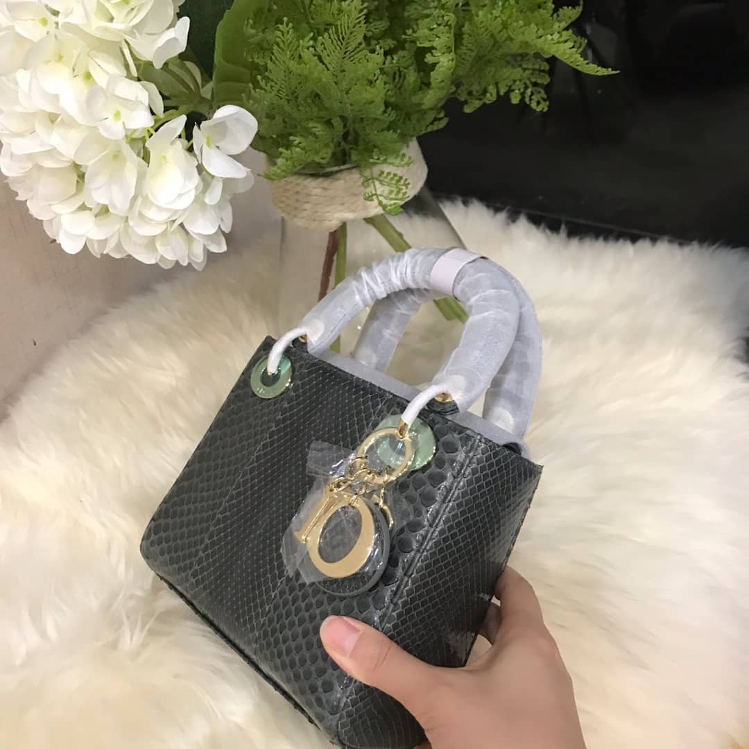 Christian Dior Lady Dior 17CM Replica Bag