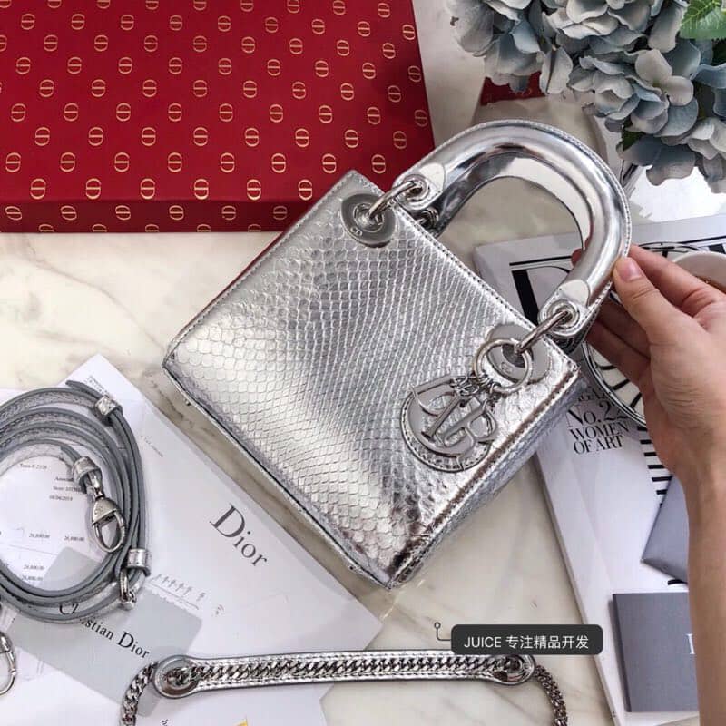 Christian Dior Lady Dior 17CM Replica Bag