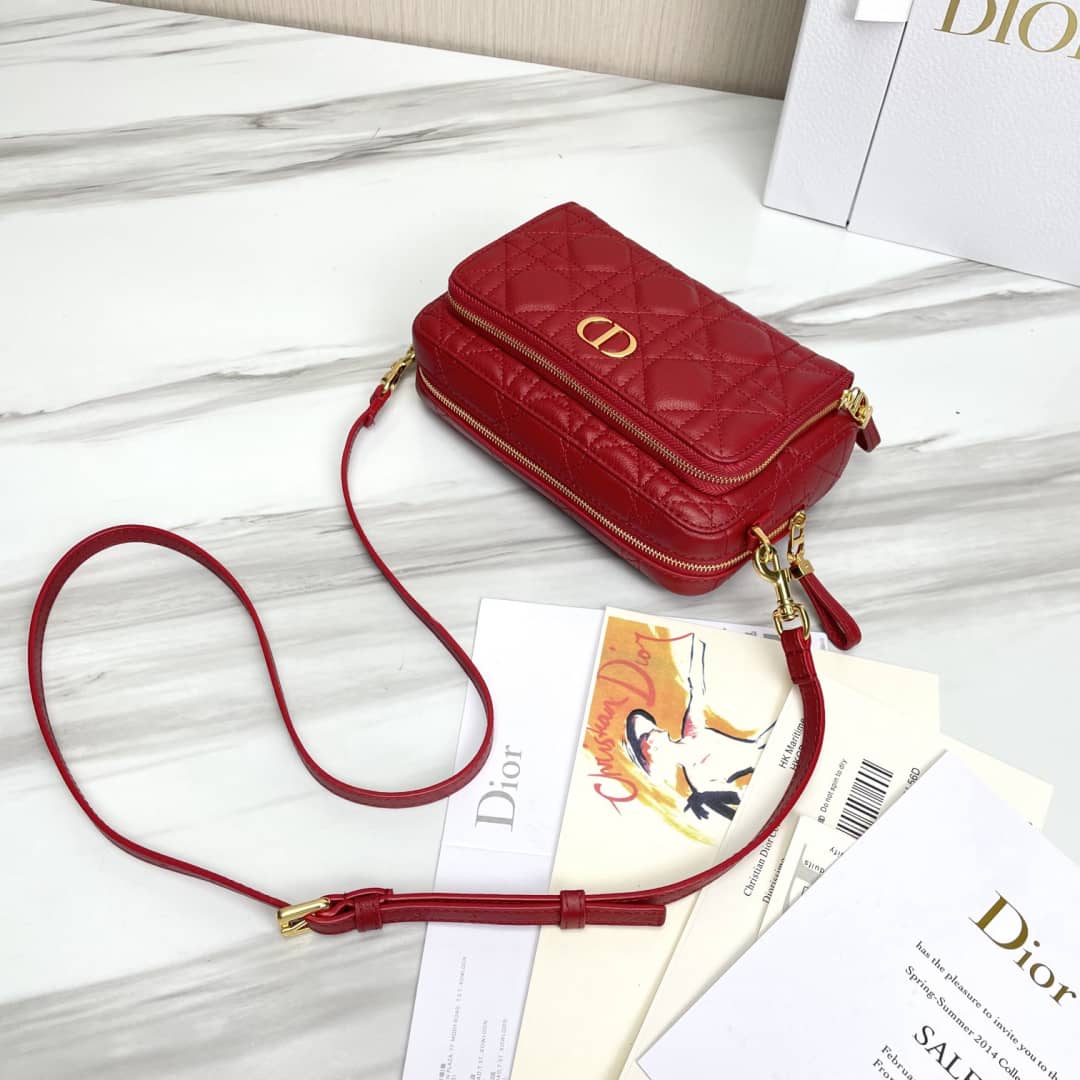 Christian Dior Caro Double Calfskin Pouch
