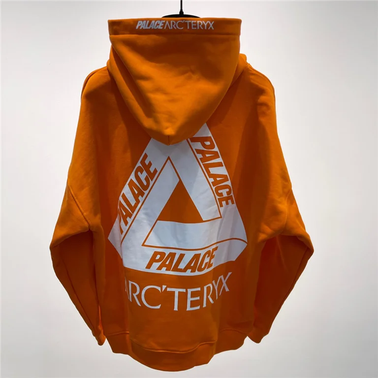 Arcteryx  Down Hoodie