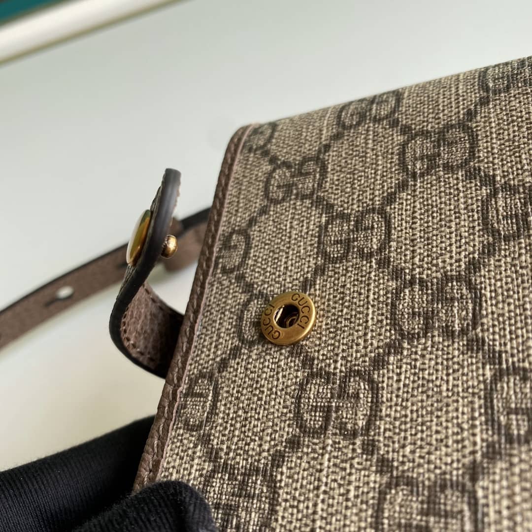 Gucci Ophidia GG Supreme Fabric Mini Bag 645082