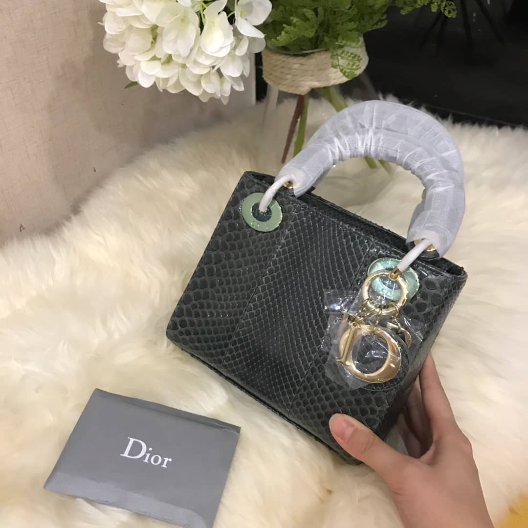 Christian Dior Lady Dior 17CM Replica Bag