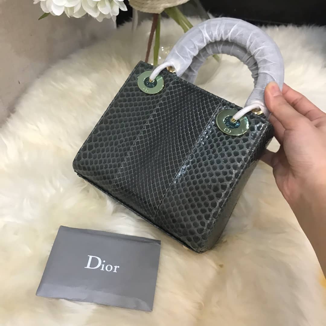 Christian Dior Lady Dior 17CM Replica Bag