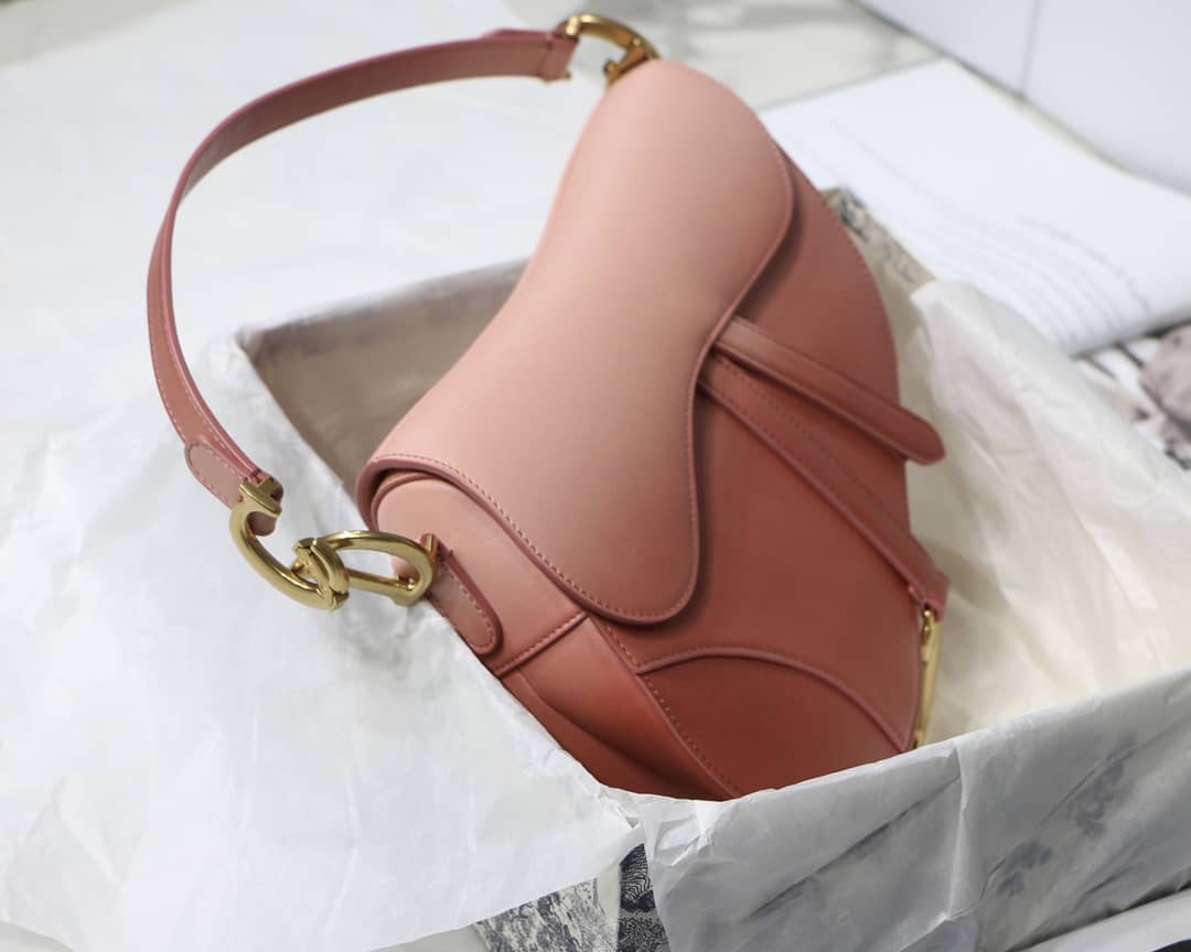Dior Saddle Bag Dupe 25.5CM