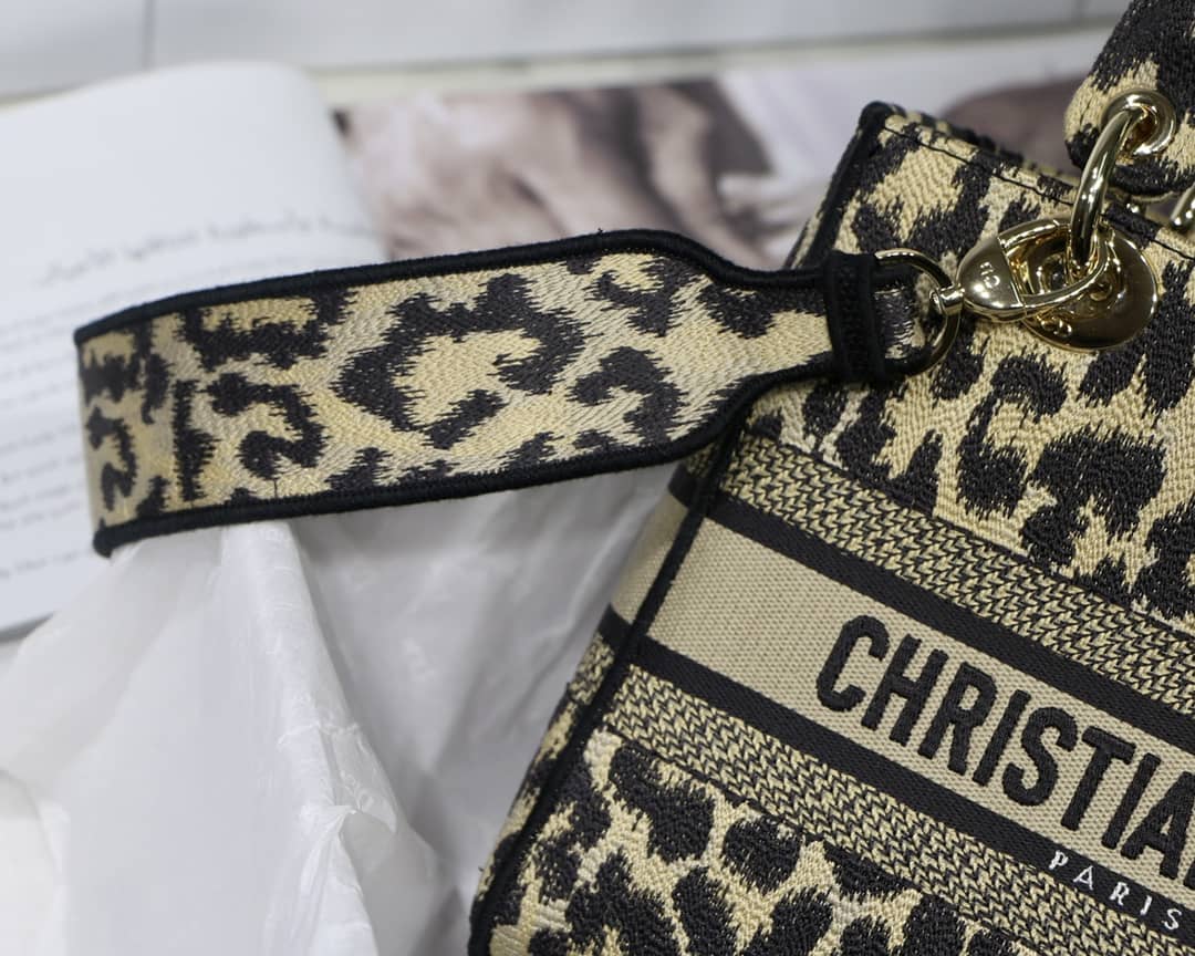 Dior Dupe Bag 24CM Paisley Embroidery Lady D-Lite