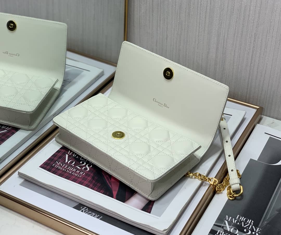 Christian Dior Caro Chain Belt Replica Pouch