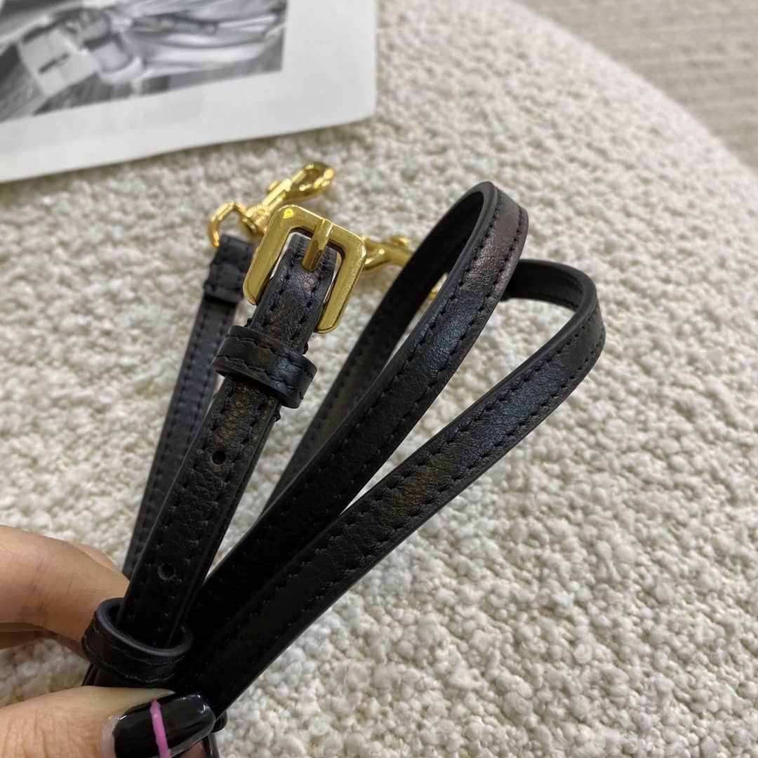 Christian Dior Caro Double Pouch