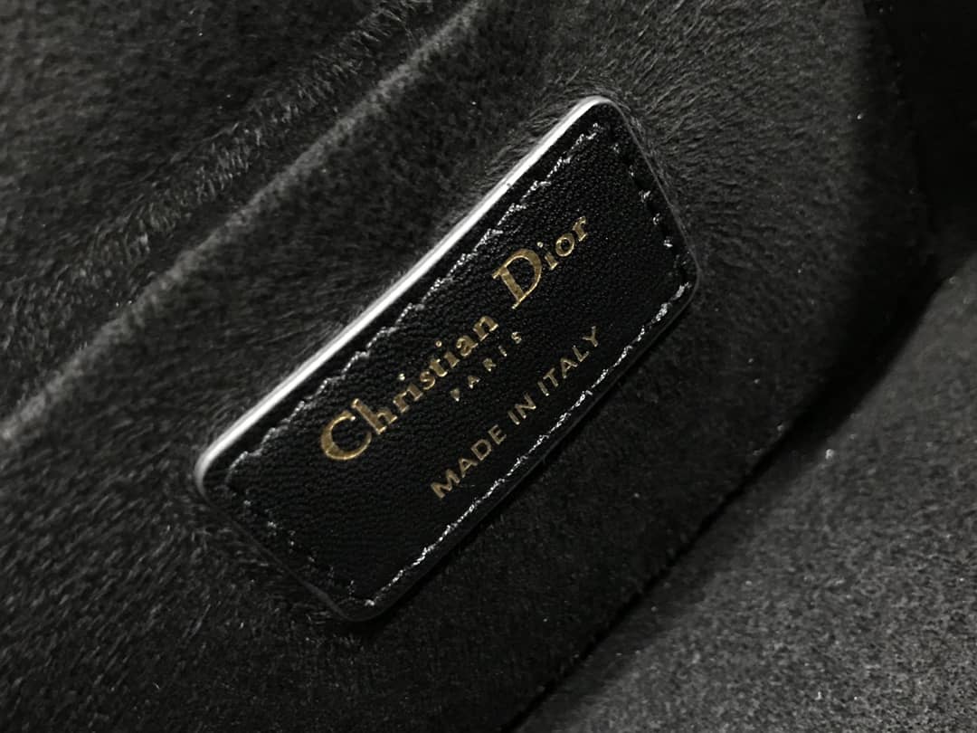 Christian Dior Travel Lambskin Vanity Case