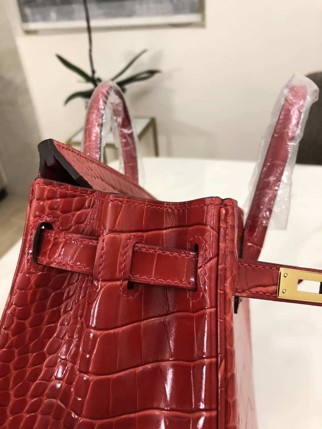 Hermes Birkin 25CM Crocodile Shiny Replica Bag